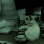Azumiˑ