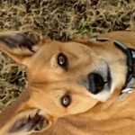 !!!!DOTHEFORTNITE!!!!