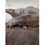 A҉l҉l҉y҉'s҉ g҉r҉o҉u҉p҉ :>