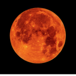 Ultima Werewolf Pack