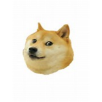 GuardDoge©