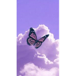 Benevolent Butterflies