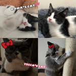 დ my pookiebears