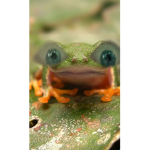 JinxPlaysBloxBurg