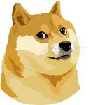 The New Doge Empire Of Starbase