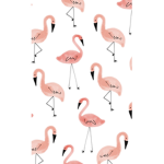 The flamingos rule