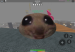 Cactus support