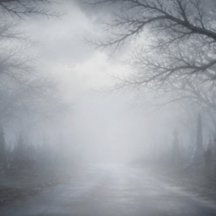 Eerie Foggy Cemetary Path