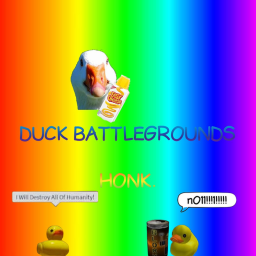 Duck Battlegrounds