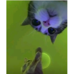 UN NOM
