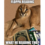 Chatting and asking, Floppa