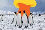 penguin armed forses
