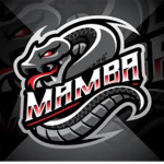 The Dark Mamba
