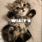 wiaiy’s