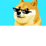 DOGE!!! Fan Club Army