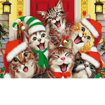 Kitten raid