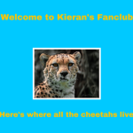 Kieran’s #######