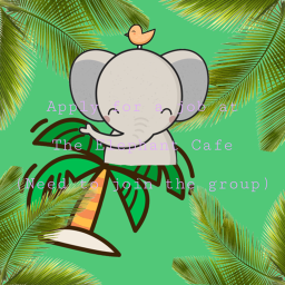 Apply For A Job At Elephant Cafe