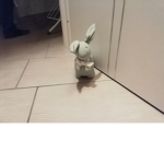 I conigli di jessy