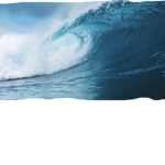| Ocean And Bay productions |