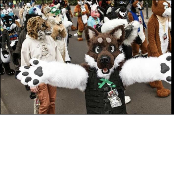 furry convention 