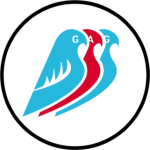 GAG | Global Aviation Group