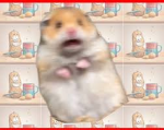 swag hamster church no click bait