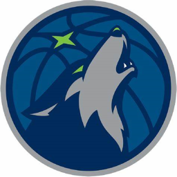 Minnesota Timber Wolves Arena