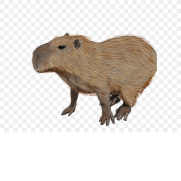 Capybara Hangout [ALPHA]