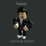 *-Gameing Studios*-