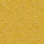 the golden gaurd