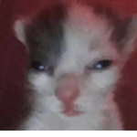 CoffeGod UGC