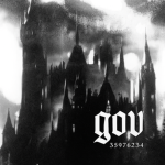 ｇｏｖ