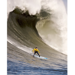 Riding the wavE