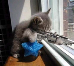 Roblox Sniper Squad
