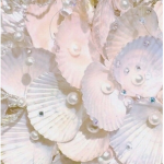 • Aesthetic Pearls •