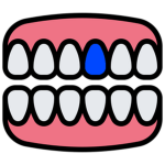 Blue Tooth Studio
