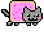 Nyan Katz!