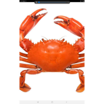 Curry crabs for life