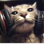 Ro’s Gaming Studio