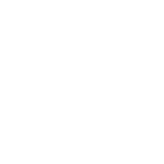 AlephNum Support