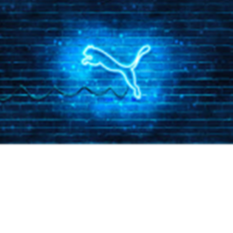 sub de puma azul