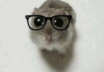 Neronero