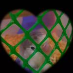 The Bluee Bird