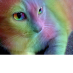 This Is The Cute Rainbow Cat Group Group Thumbnail