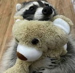 bajsstoffe