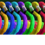 Flamingo Fan Club