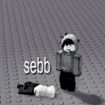 S333