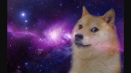 DOGE RACING