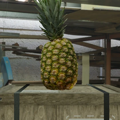 Cool Fruit Studio Roblox group icon